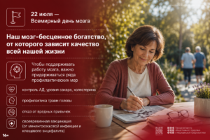 головной мозг
